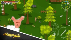 راز گنجینه