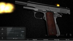 Magnum 30 Gun Custom
