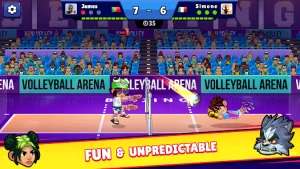 Volleyball Arena