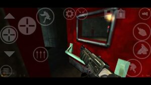Half Life