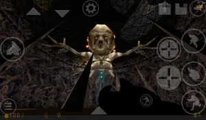 Half Life