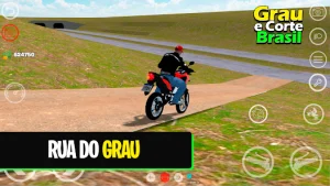 Grau e Corte Brasil (BETA)