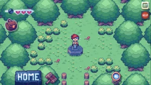 There Is No Game: WD