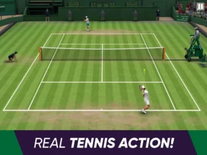 Tennis World Open 2025 - Sport
