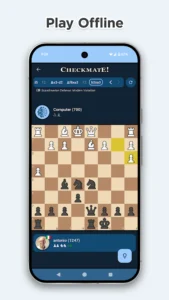 Chess Online & Offline
