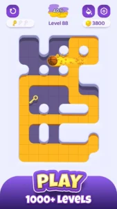 Color Maze Adventure