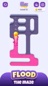 Color Maze Adventure