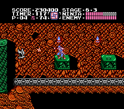 Ninja Gaiden