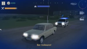 Realistic Driver Simulator