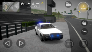 AmericanCar: Simulator