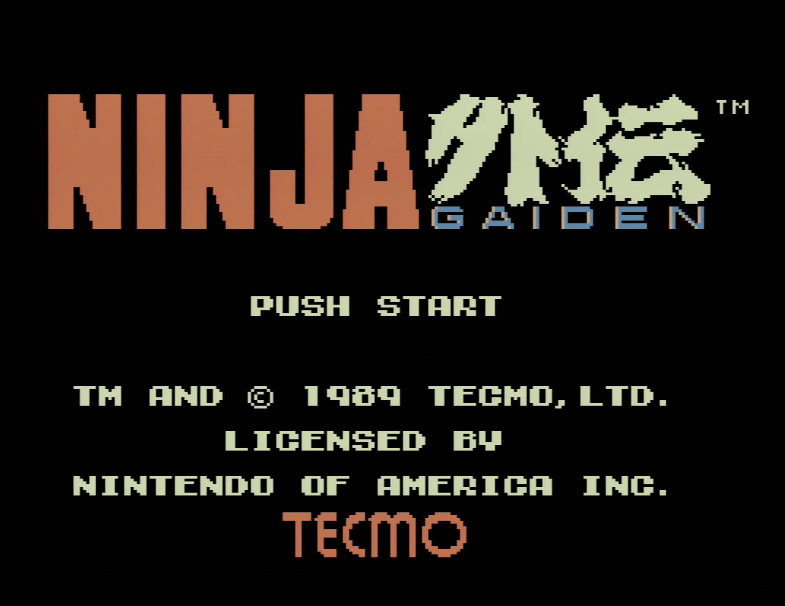 Ninja Gaiden