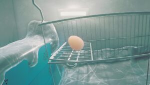 Egging on
