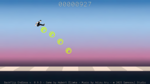 Backflip Endless