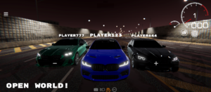 PROJECT R: Ultra Car Simulator