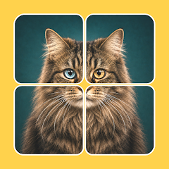 دانلود بازی Solitaire Sort Jigsaw Game