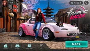Traffic Pro Racer