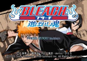 Bleach: Erabareshi Tamashii