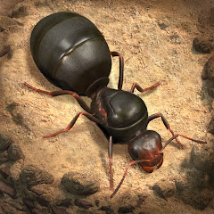 دانلود بازی The Ants: Underground Kingdom
