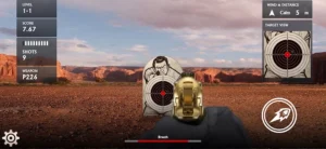 Target Shooting Range: Canyon