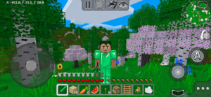 MultiCraft — Build and Mine!