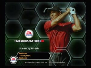 Tiger Woods PGA Tour 08