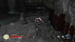 Tenchu: Fatal Shadows