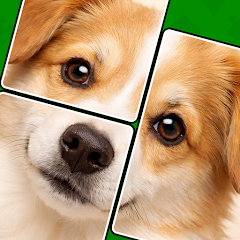 دانلود بازی Jigmagic Solitaire Puzzle