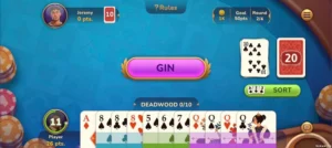 Rummy Gin
