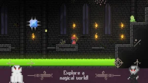 Fireball Wizard