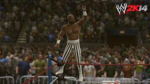 WWE 2K14