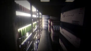 The Convenience Store